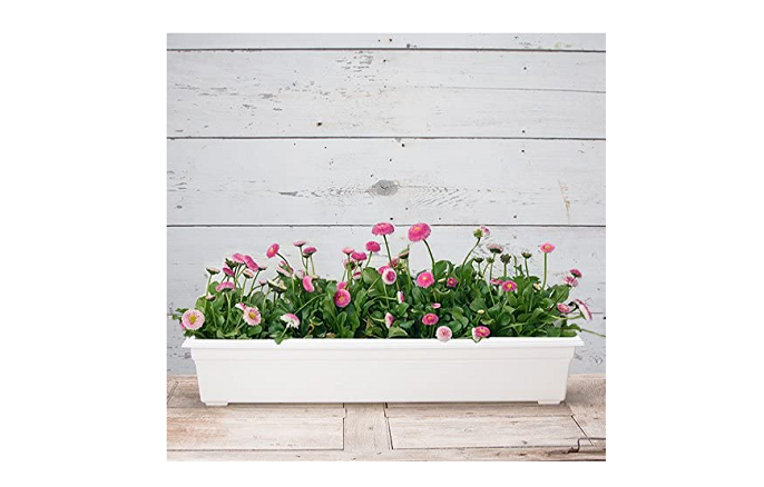 countryside flower box