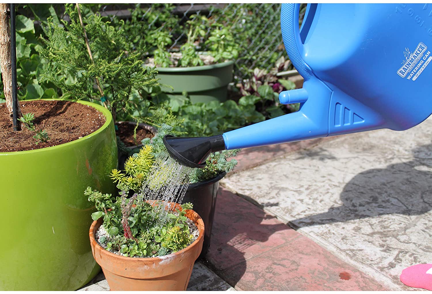 watering can