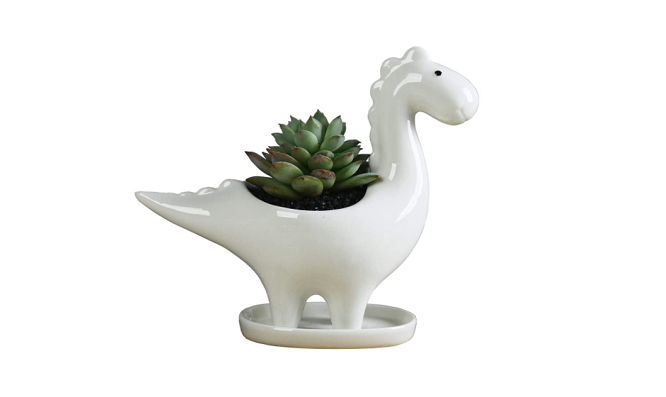 dinosaur shape ceramic succulent planter