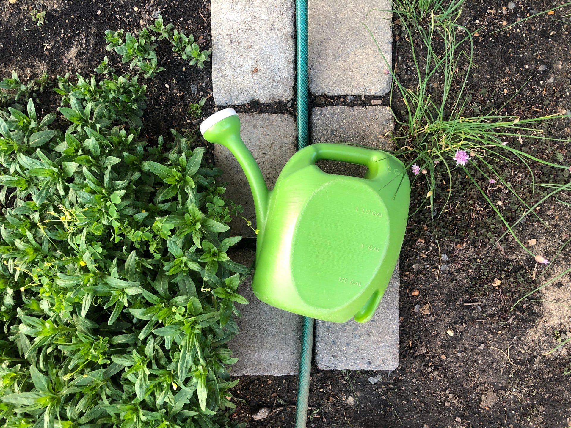 gardening tool essentials