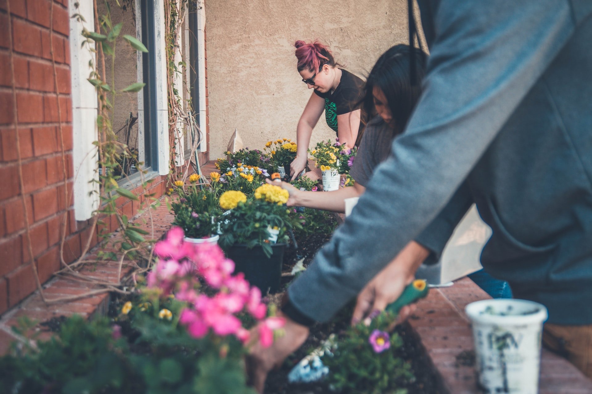 Best Garden Tool Essentials