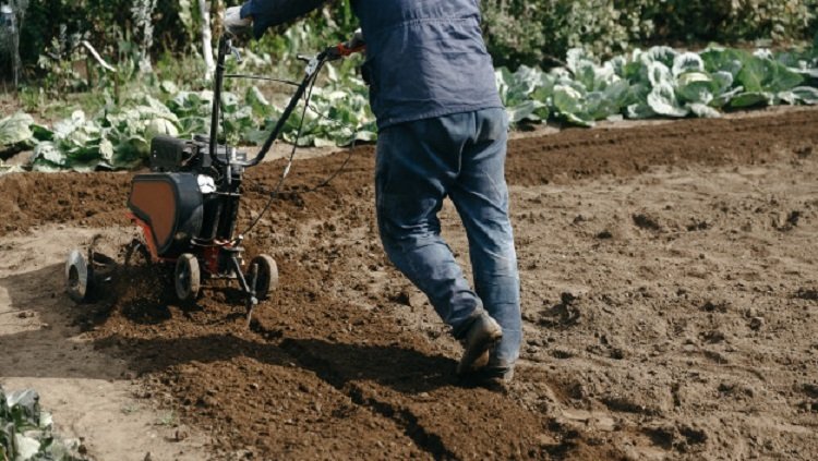 Garden Cultivator