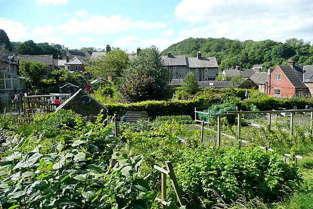 vegetable garden layout