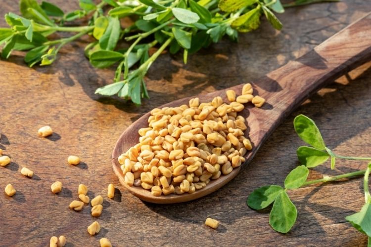 Fenugreek