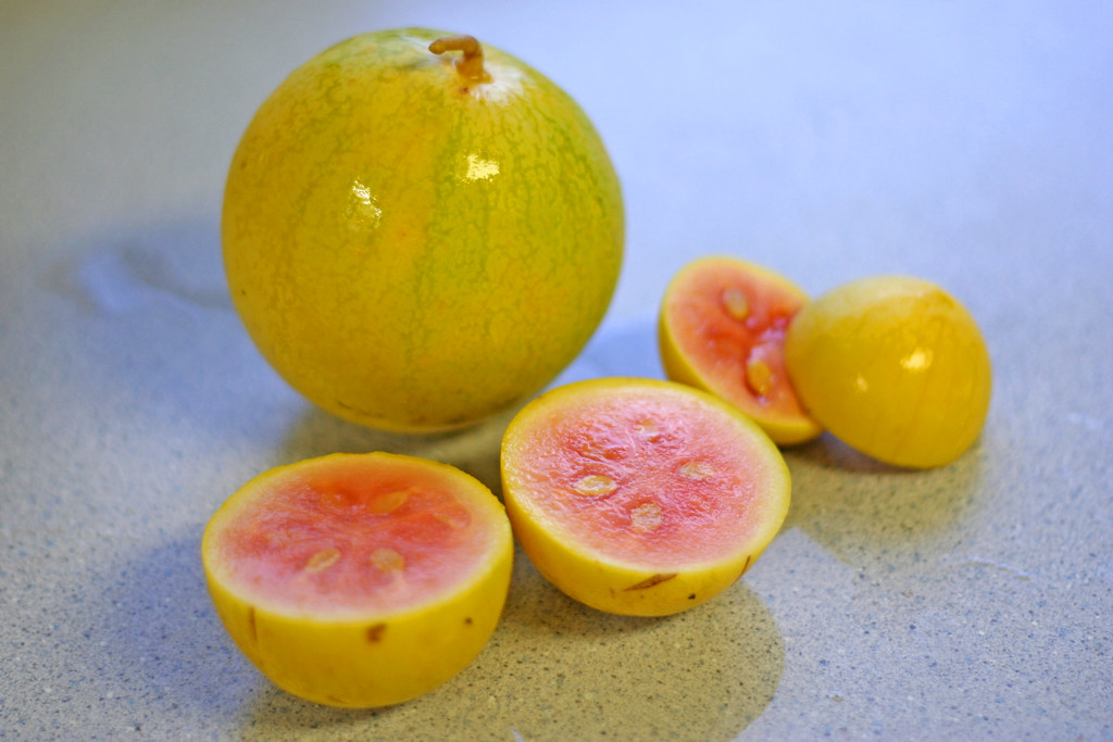 Golden Midget Watermelon