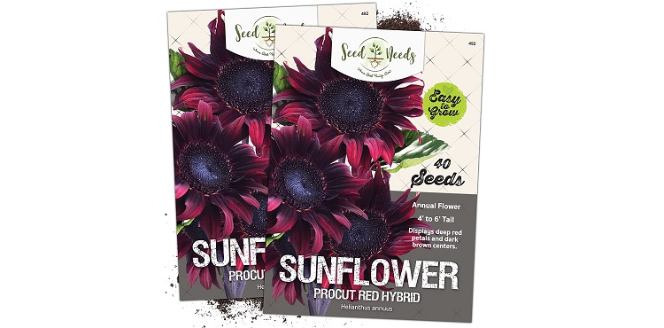 Red Sunflower Seeds