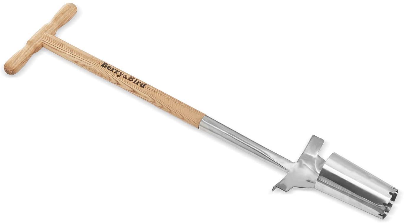 Best Bulb Planters That You Should Consider for Your Garden Jardin HQ