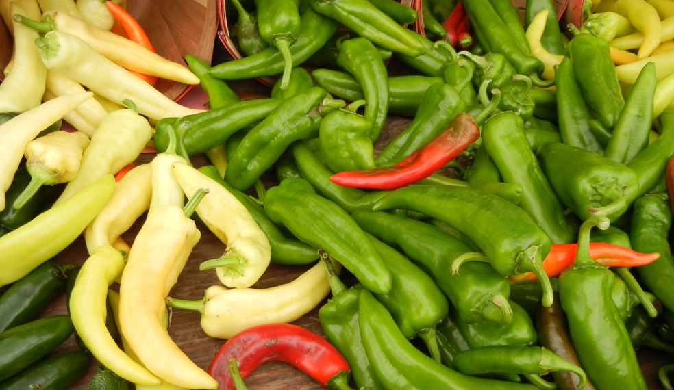 Pepper Types and Varieties Every Food Enthusiast Should Know Of