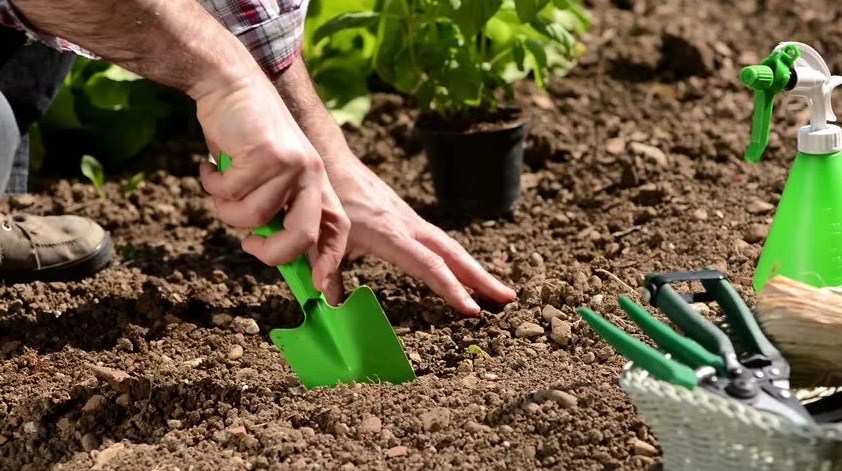 Digging Hole For Plant