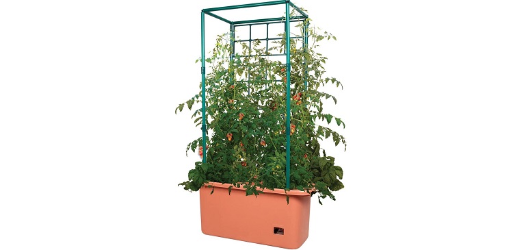 Hydrofarm GCTR 10-Gallon Tomato Garden Planting Grow System