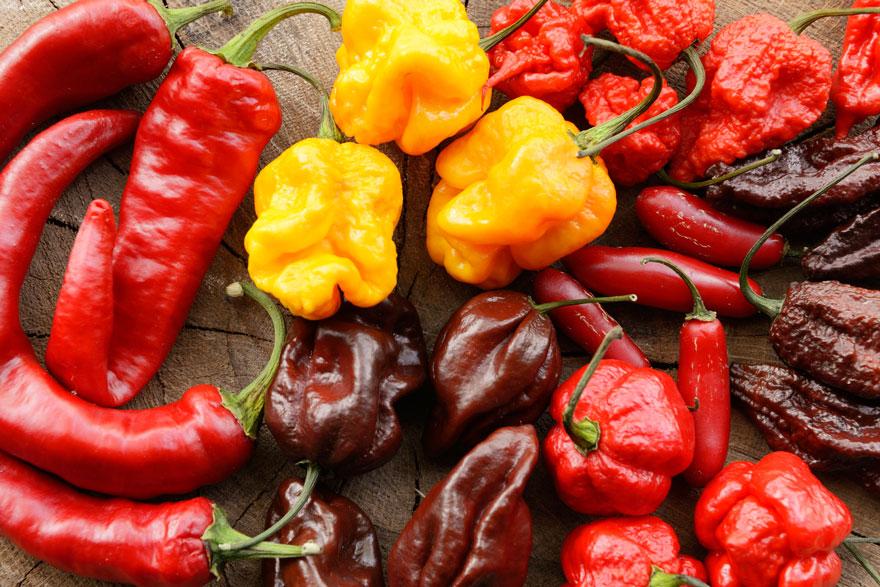 Pepper Types: Super hot peppers