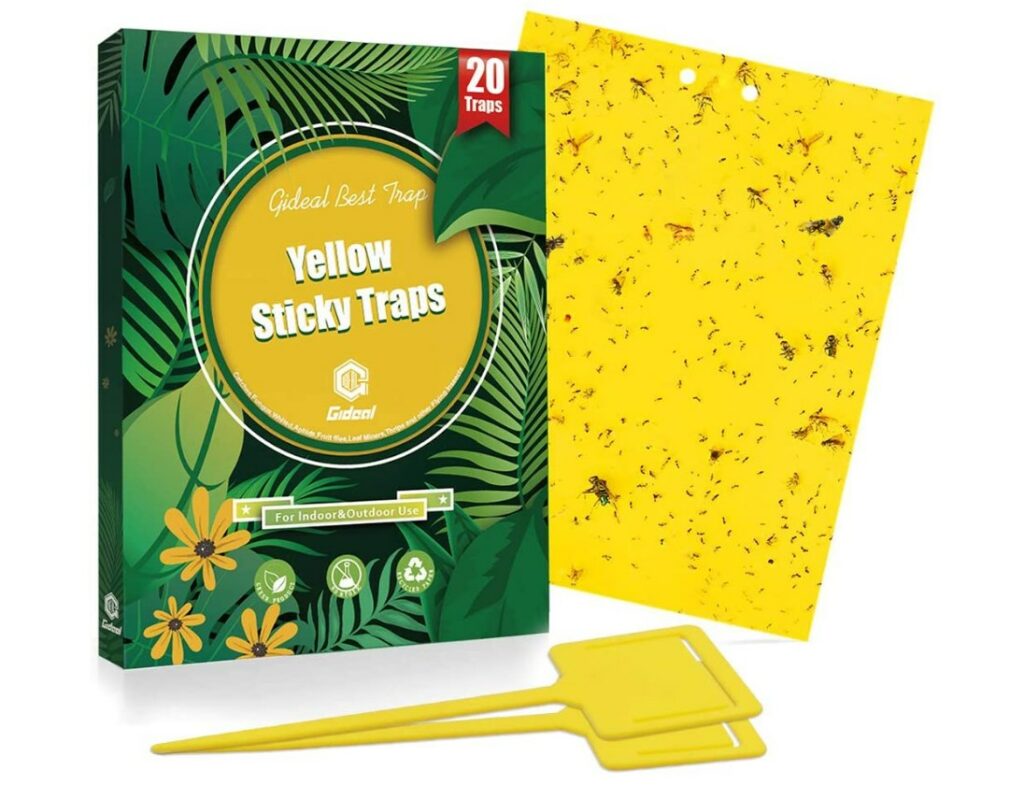 Yellow Stick Traps