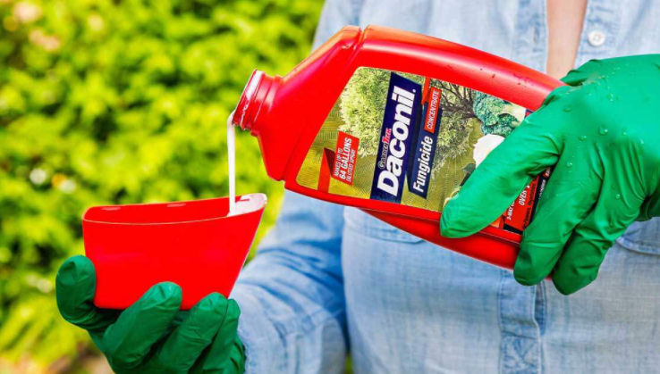 daconil fungicide