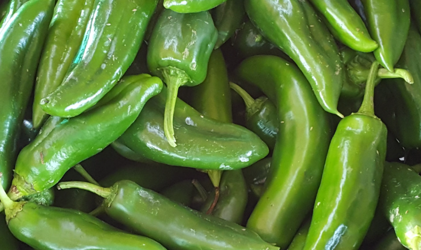 jalapeno peppers