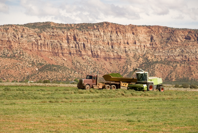 Arizona Growing Zones Explained Jardin HQ