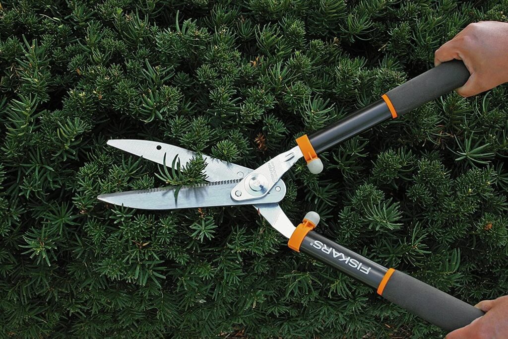 Best Garden Scissors Guide