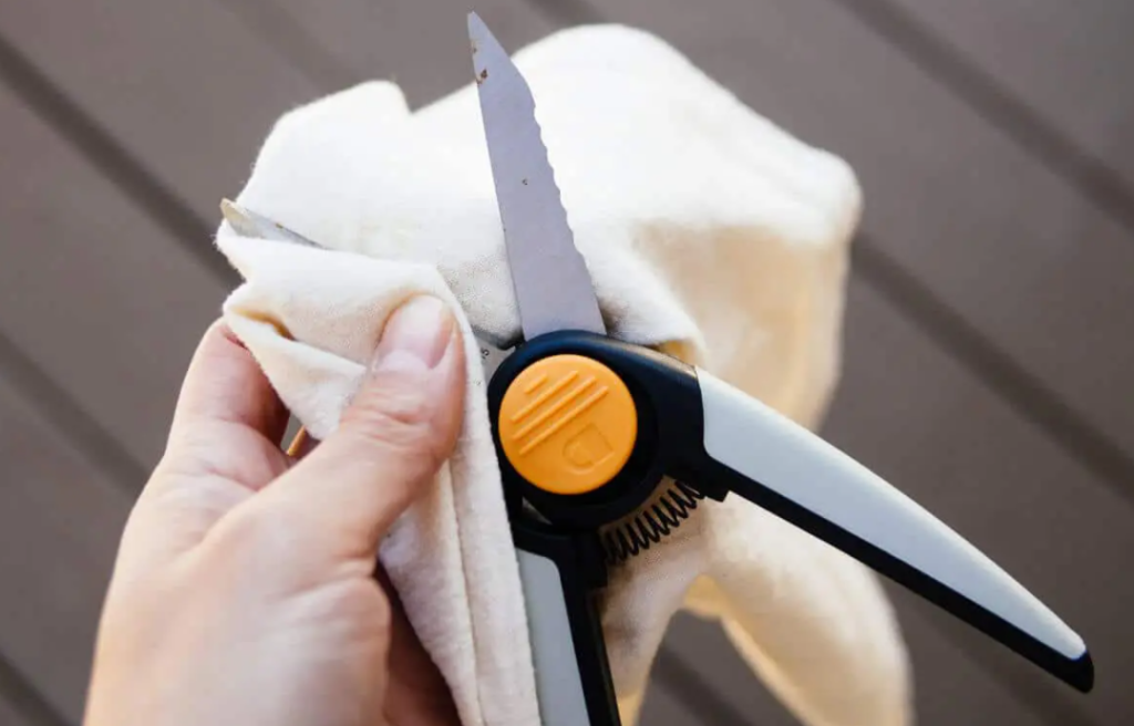 Maintain Your Garden Scissors