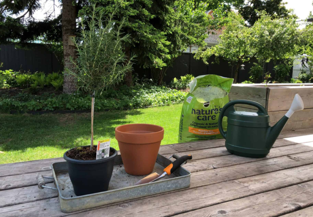 Plastic Watering Cans