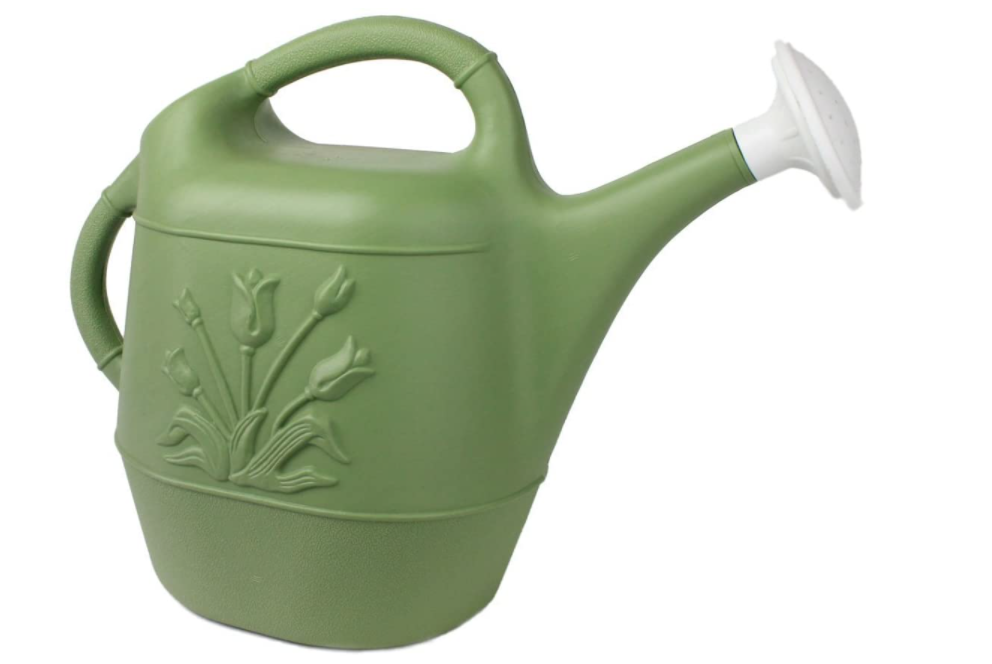 Union Watering Can With Tulip Model