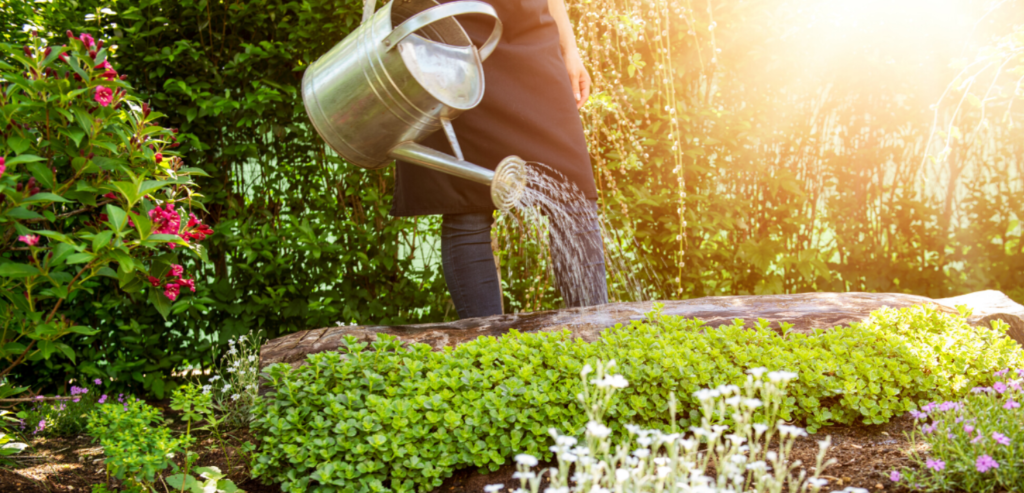 How to Find the Best Garden Watering Can For Your Plants - Jardin HQ