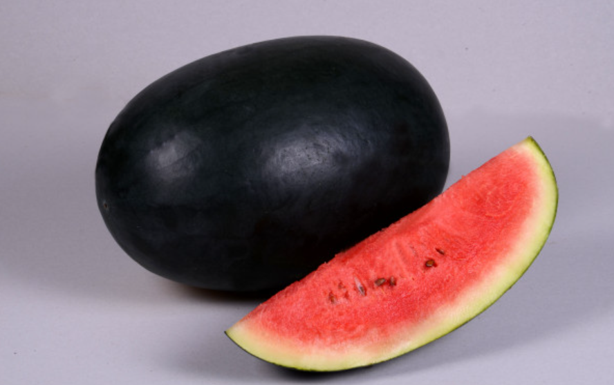 Icebox Watermelon Growing Guide How To Grow It In Your Garden