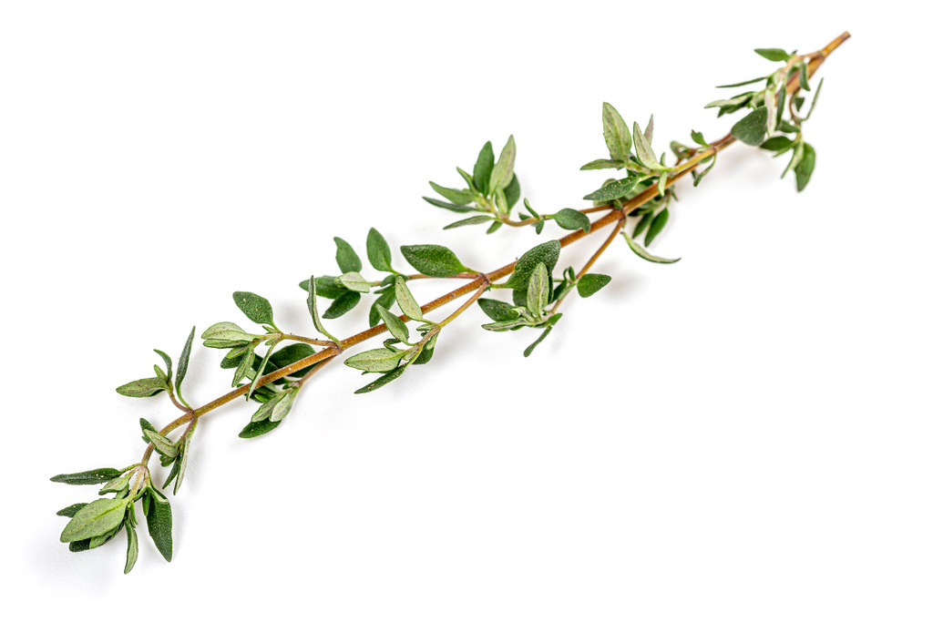 thyme