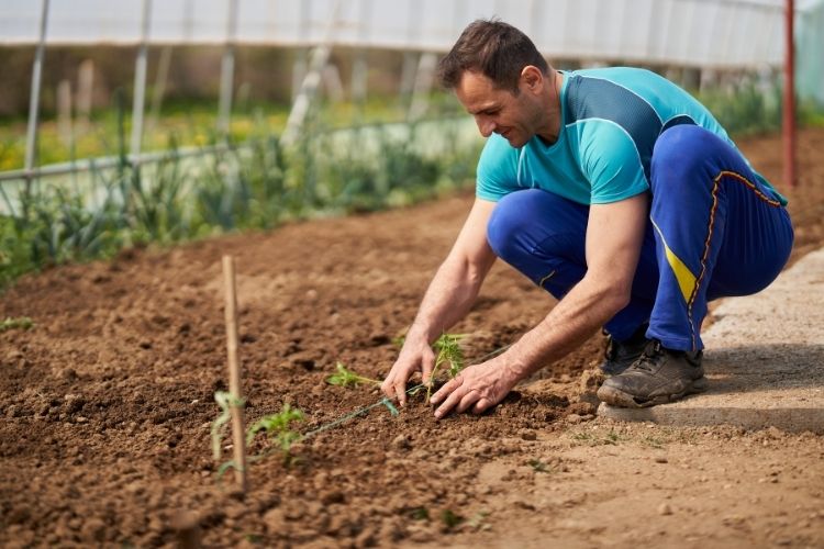 Farmer