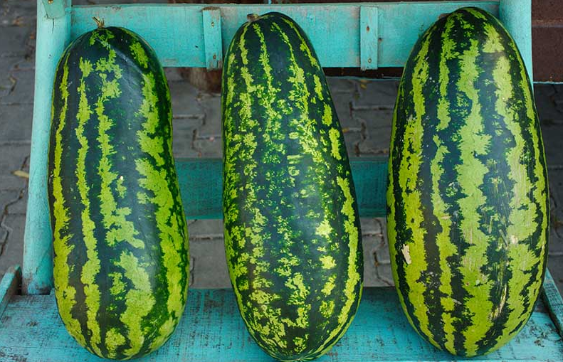 Jubilee Watermelon Seeds