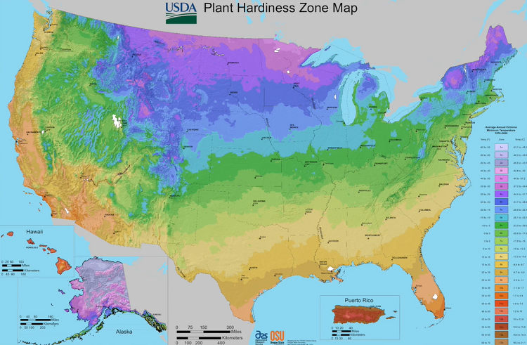 Growing zones