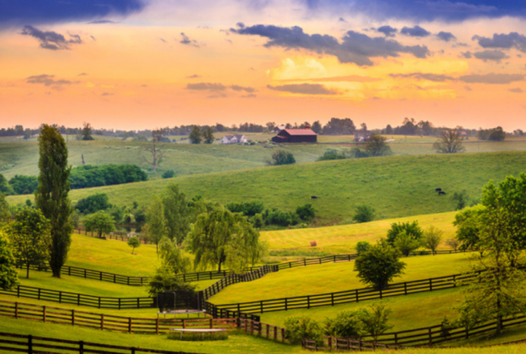 Kentucky Growing Zones Explained Jardin HQ