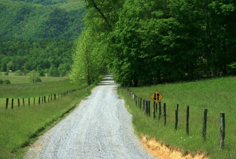 Tennessee Growing Zones Explained Jardin HQ