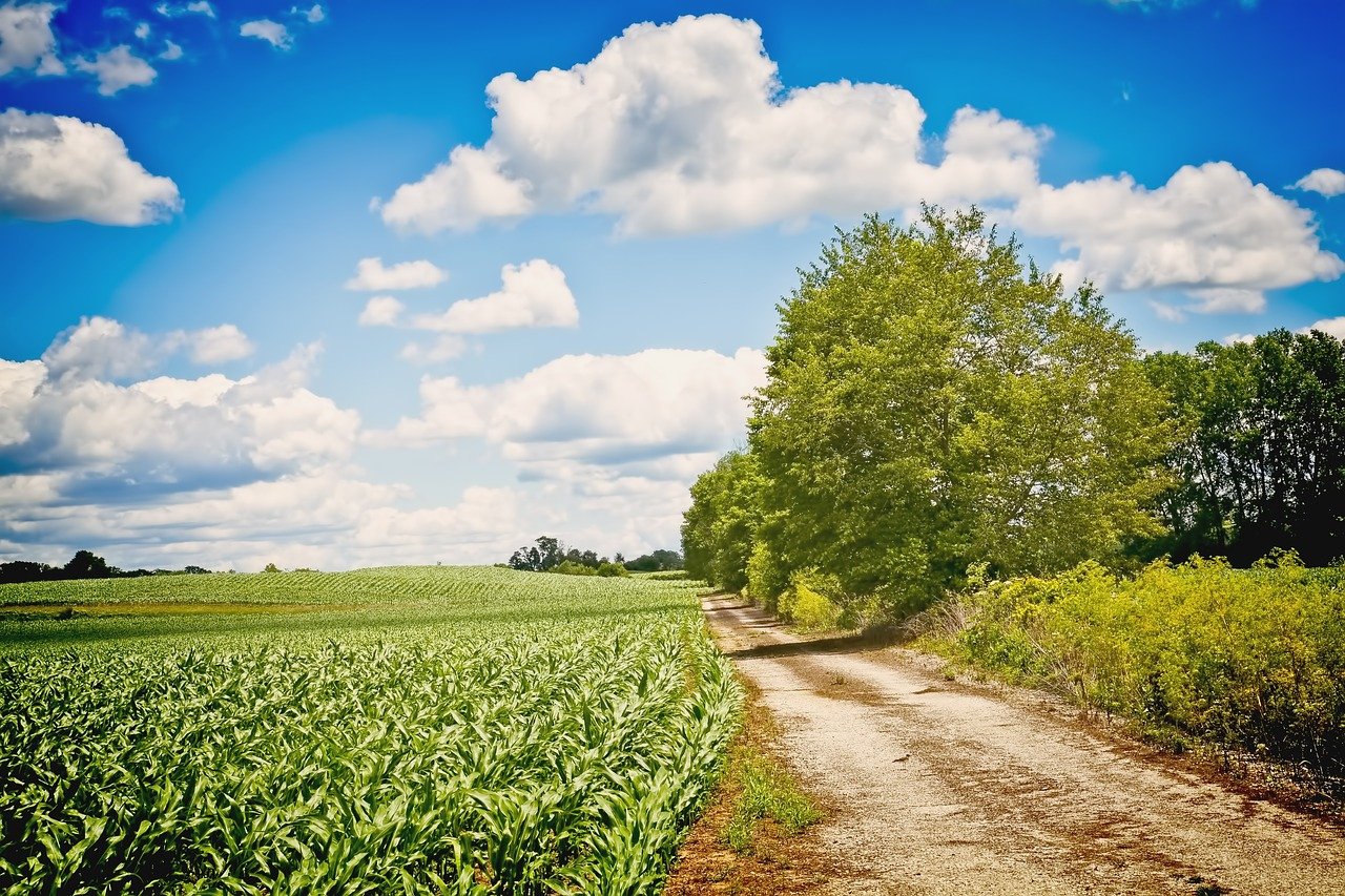 Ohio Growing Zones Explained - Jardin HQ