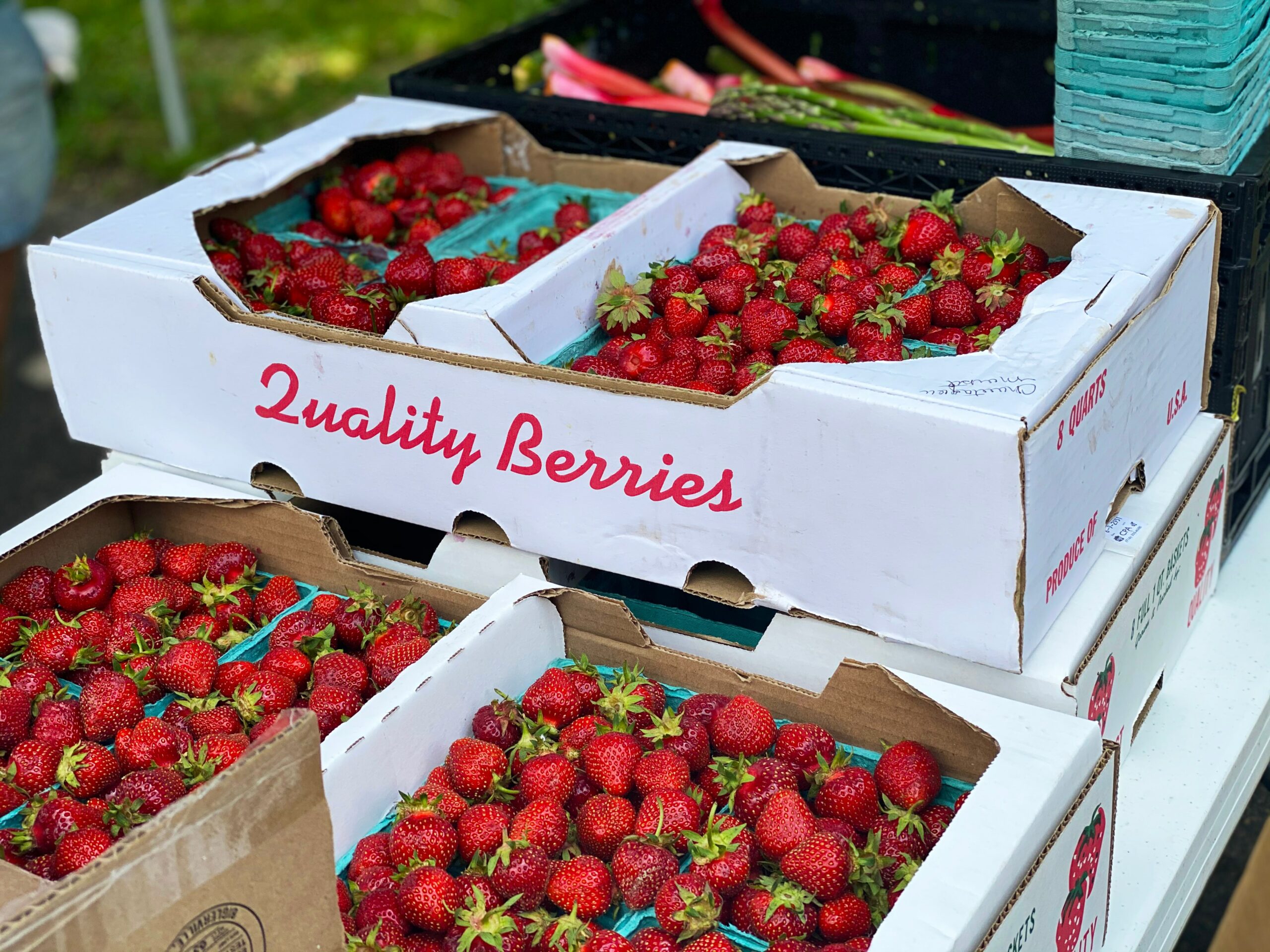 how to care for strawberries