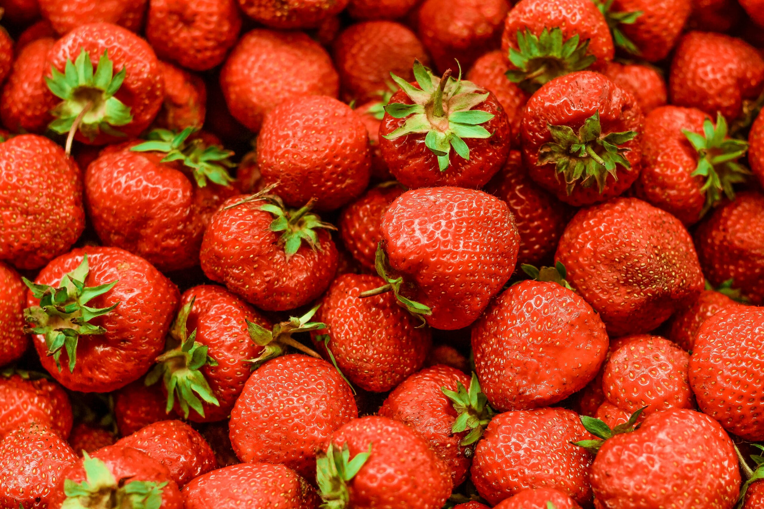 strawberry fruit