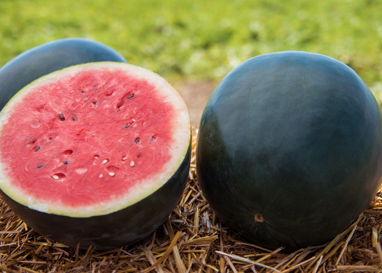 black diamond watermelon