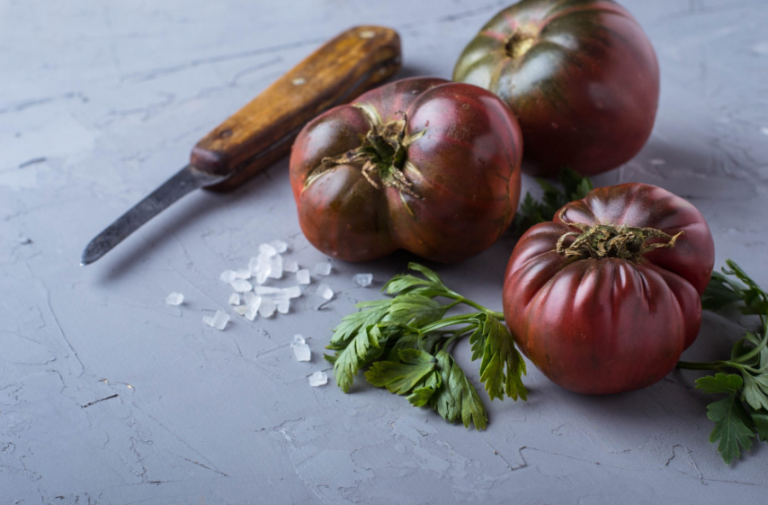 Black Krim Tomato Guide Growing, Care, and More! Jardin HQ
