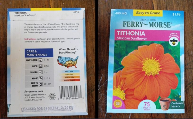 seeds