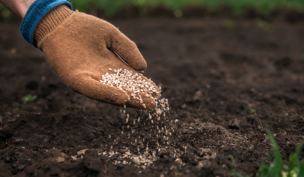 The Home Gardener's Complete Guide to Buying Flower Seeds: Top 10 Seed Companies Reviewed