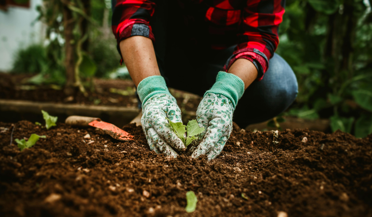 gardening