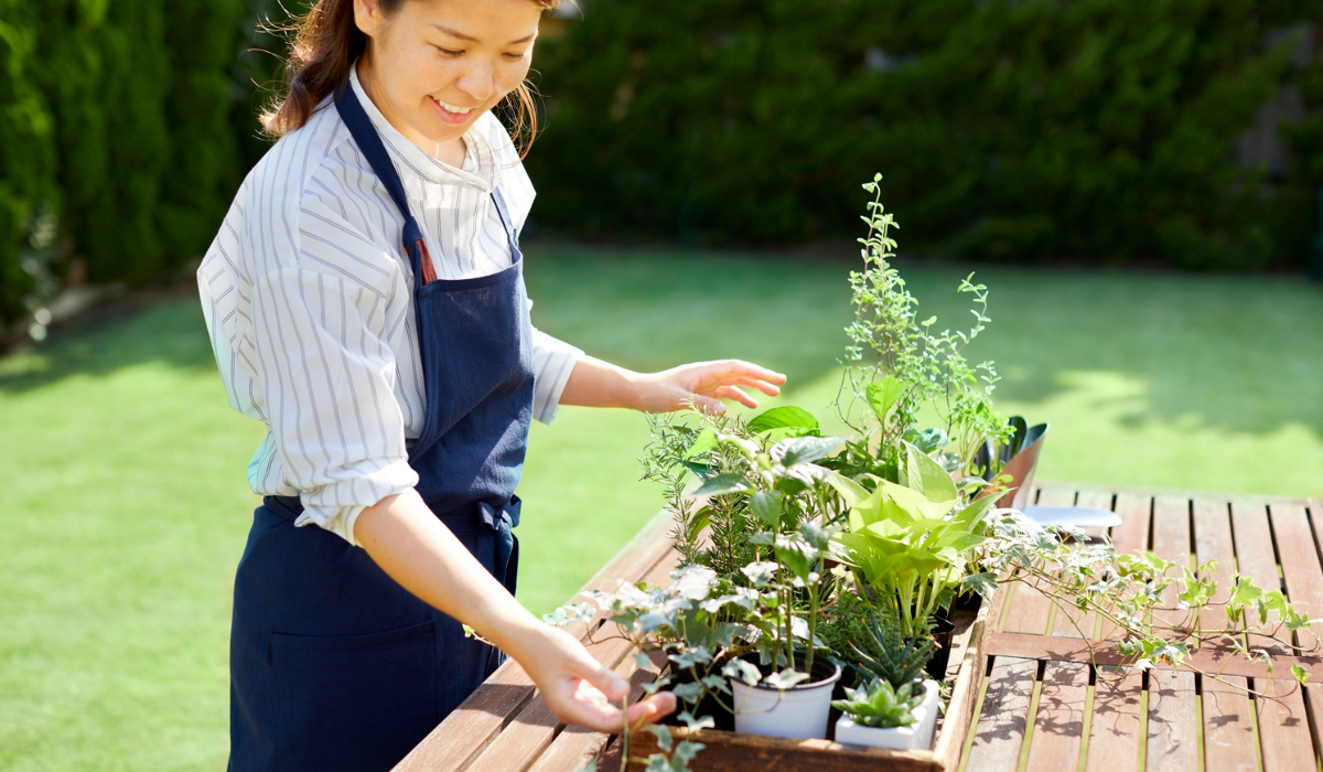 gardener