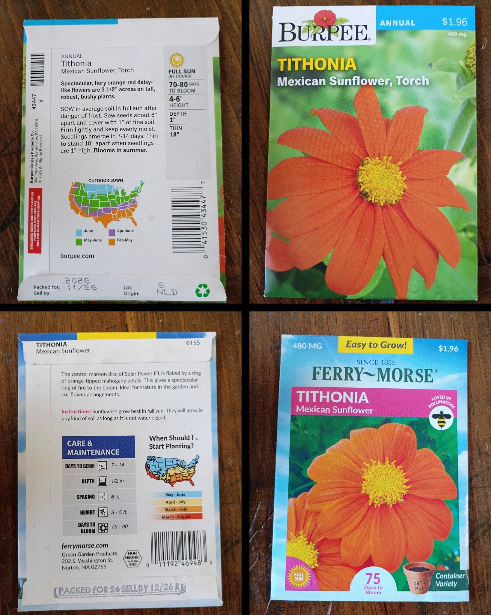 seeds