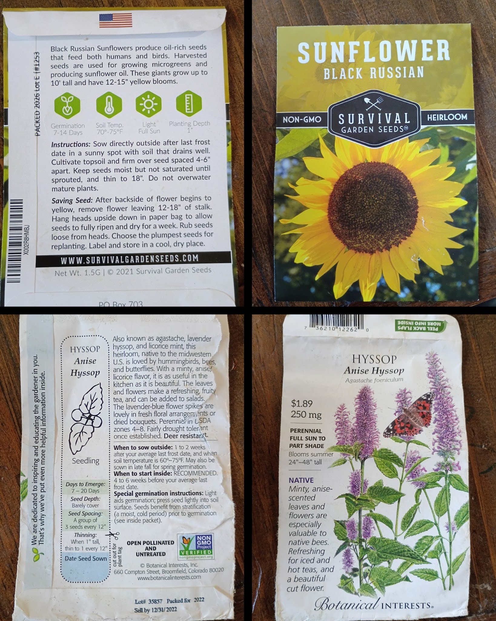 seeds