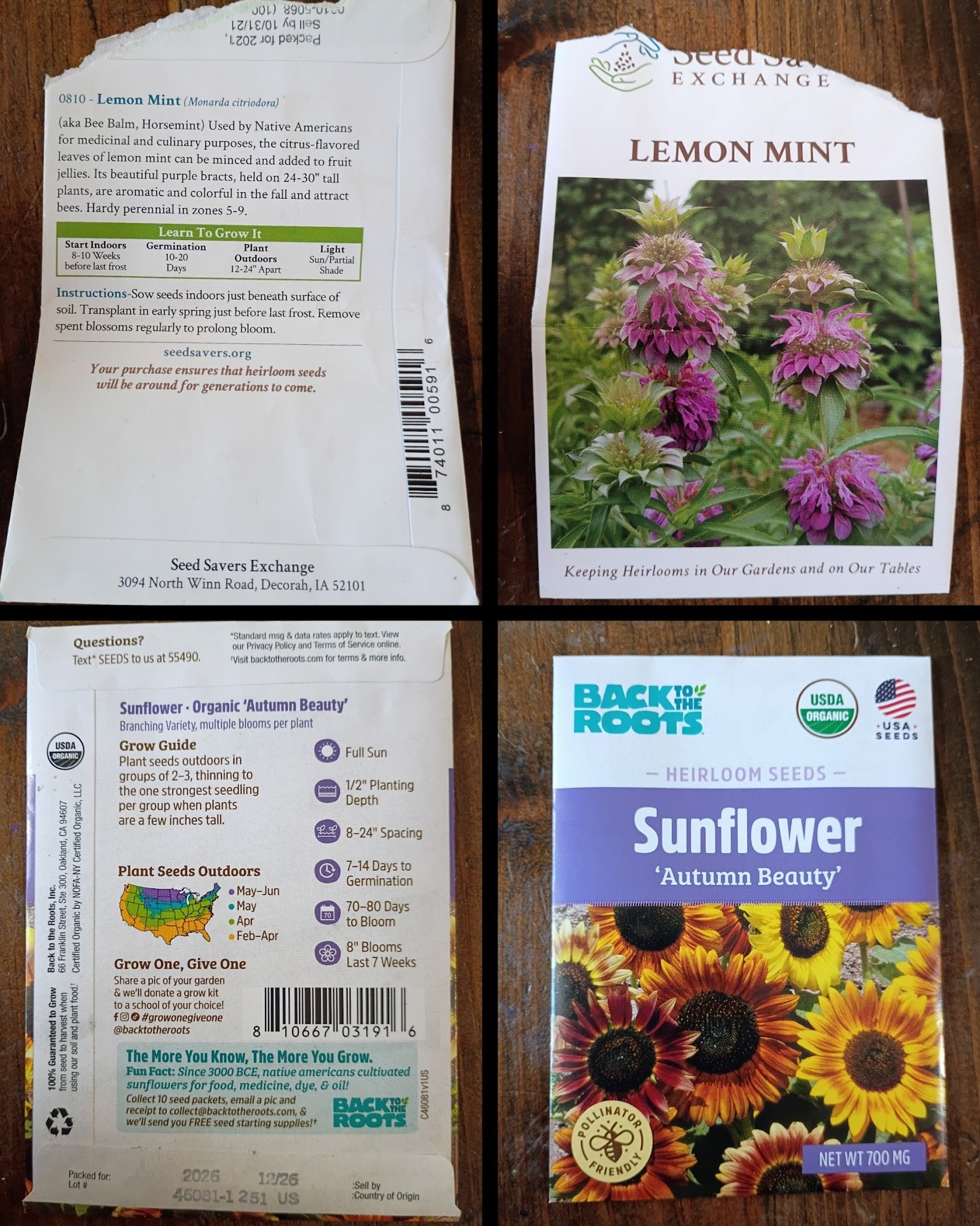 seeds