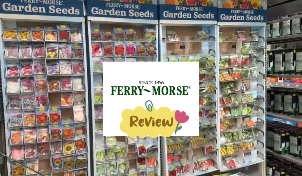 Ferry-Morse Seeds Review: What I Learned After a Full Growing Season