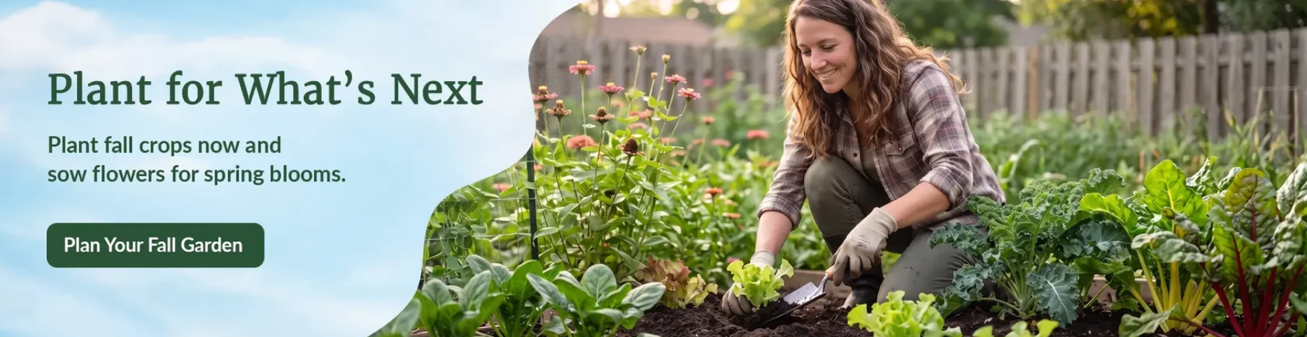 are name brand seeds worth it