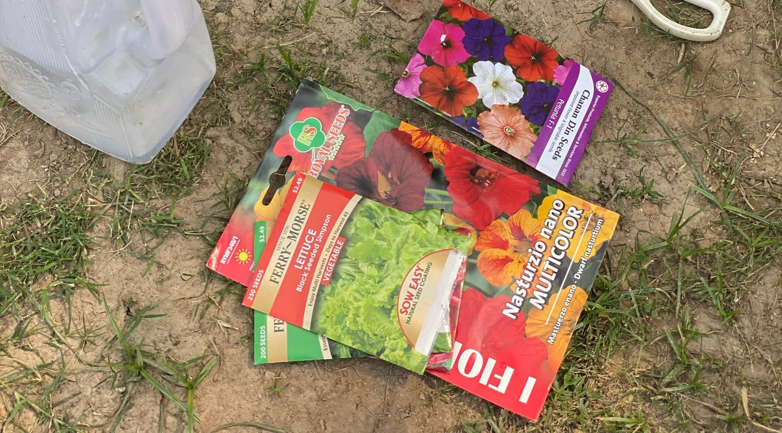 seed viability test