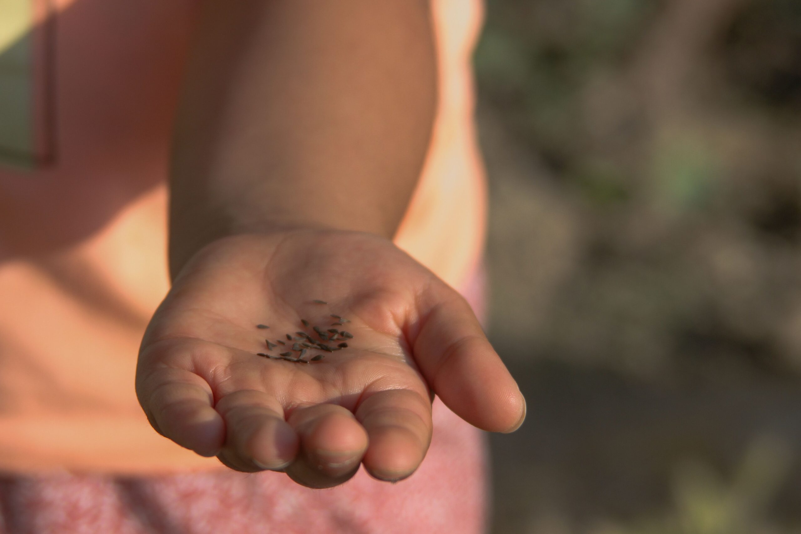 seeds in hand