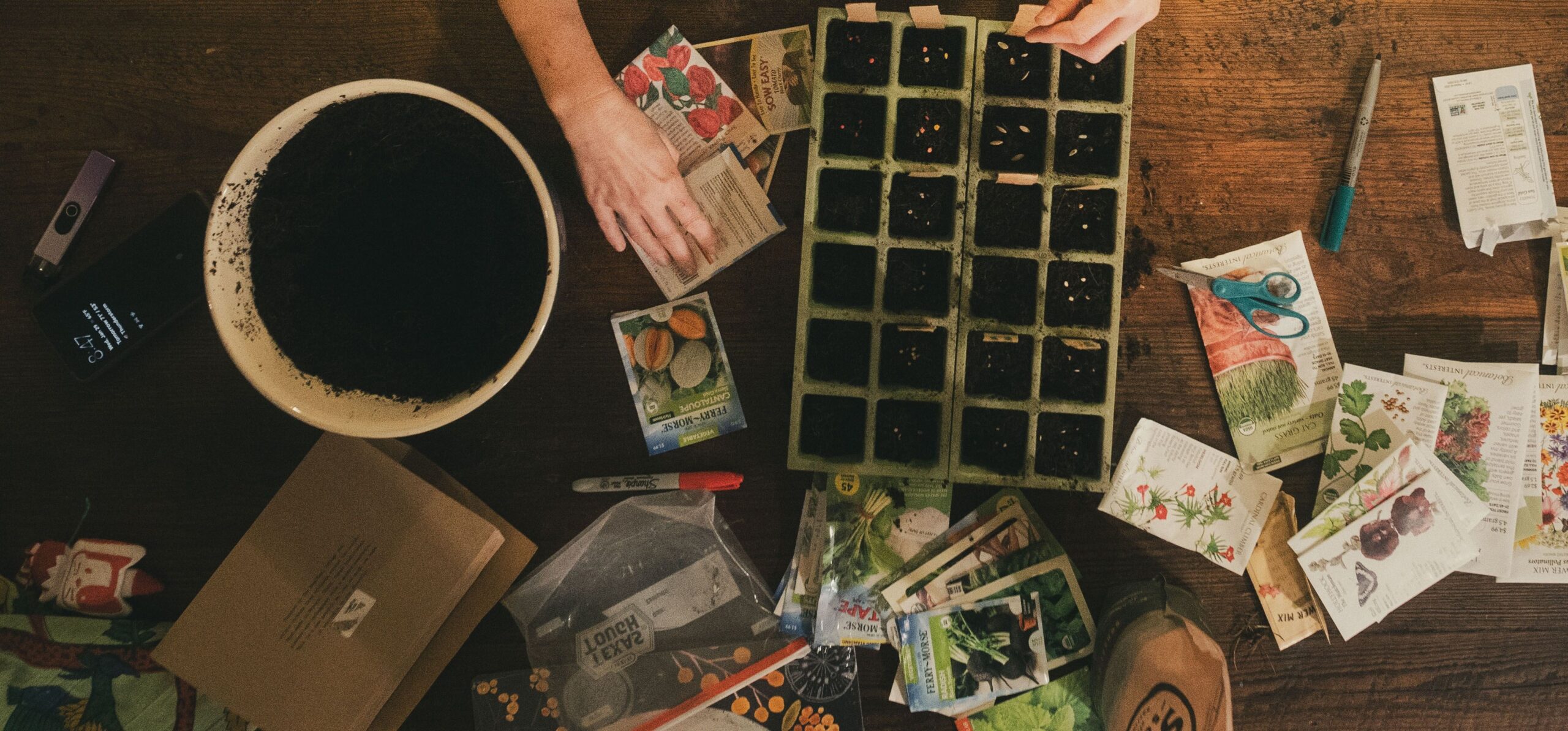 seed viability test