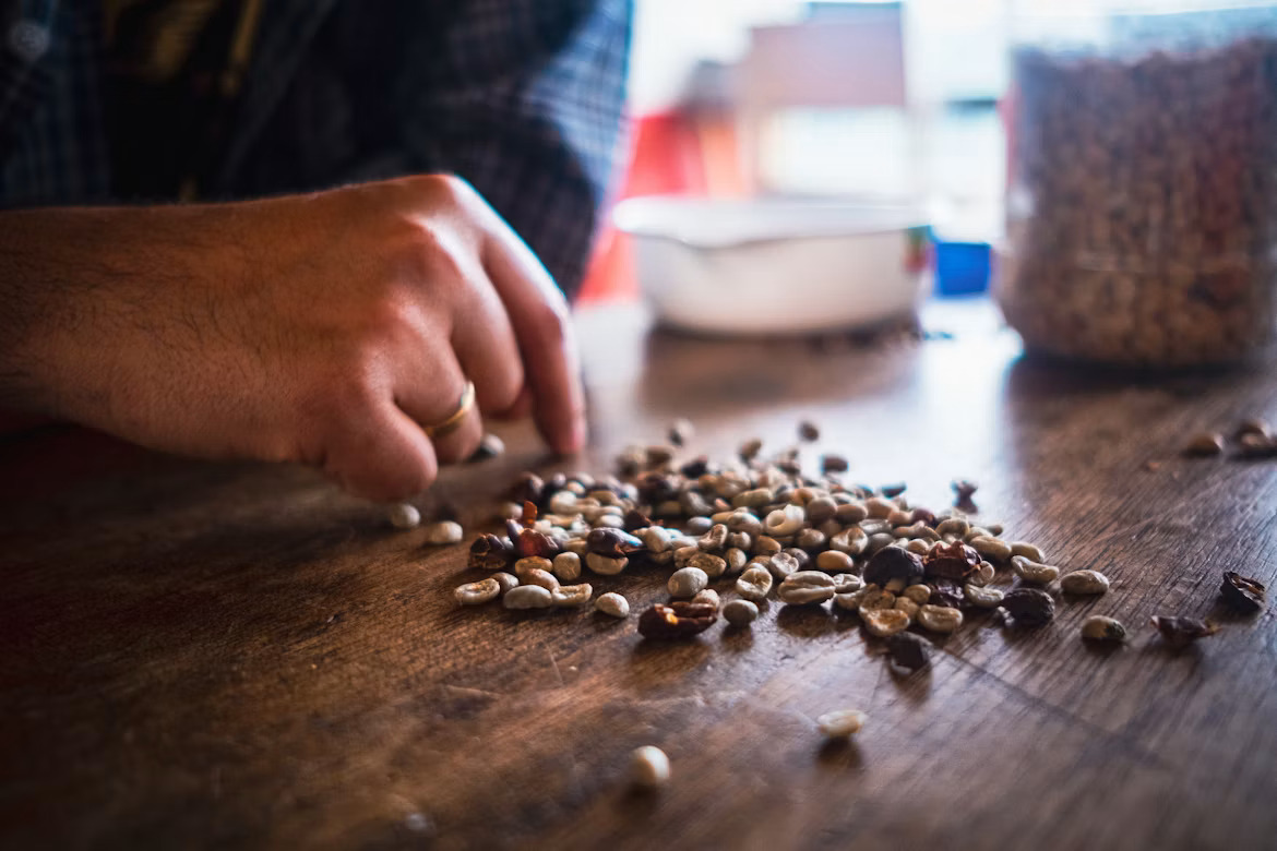 visual exam for seeds
