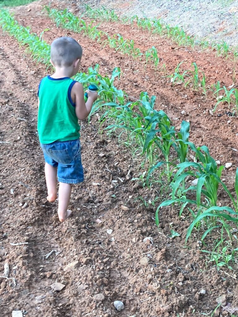 Seed Savers Exchange